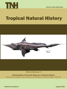 Description of Elaphoidella brancelji sp. nov. (Crustacea, Copepoda), a New Species from a Cave in Northern Thailand