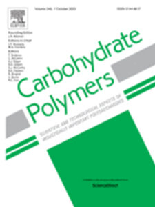 Synthesis of nanocomposite hydrogel based carboxymethyl starch/polyvinyl alcohol/nanosilver for biomedical materials