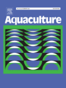 Optimization of three anoxygenic photosynthetic bacteria as feed to enhance growth, survival, and water quality in fairy shrimp (Streptocephalus sirindhornae) cultivation