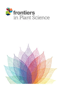 Comparative quantitative trait loci analysis framework reveals relationships between salt stress responsive phenotypes and pathways