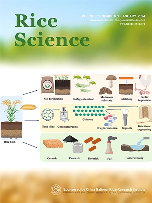 Rice Grains from A Slightly Saline Field Exhibited Unchanged Starch Physicochemical Properties but Enhanced Nutritional Values